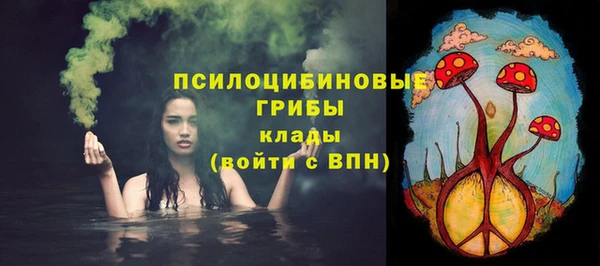 дмт Лабытнанги