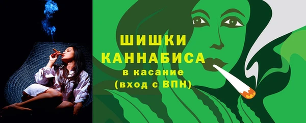 ECSTASY Ладушкин