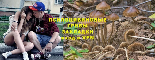 ECSTASY Ладушкин