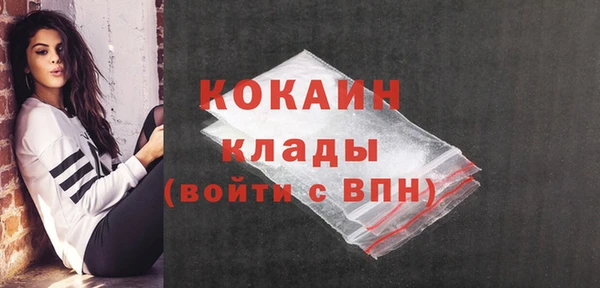 ECSTASY Ладушкин
