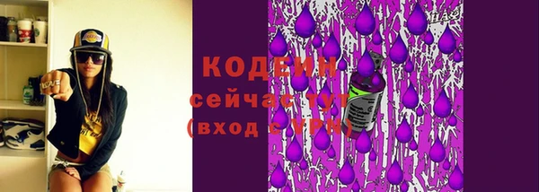 дмт Лабытнанги