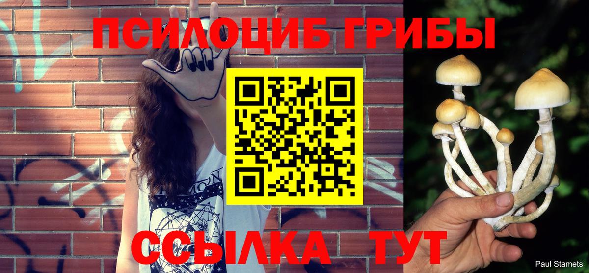 где найти   Галлюциногенные грибы MAGIC MUSHROOMS  Псилоцибиновые грибы Psilocybe  Вход с VPN  Строитель 