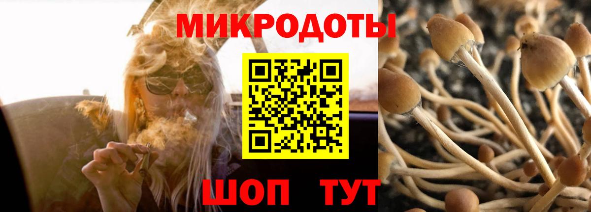 Галлюциногенные грибы мухоморы Строитель