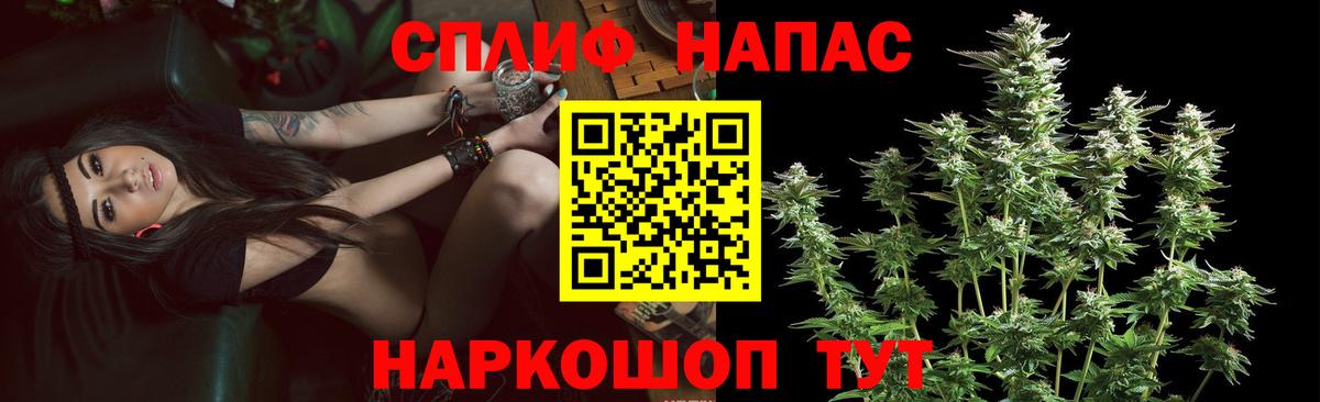 Бошки марихуана семена  МАРИХУАНА ГИДРОПОН  Вход с VPN  Строитель 